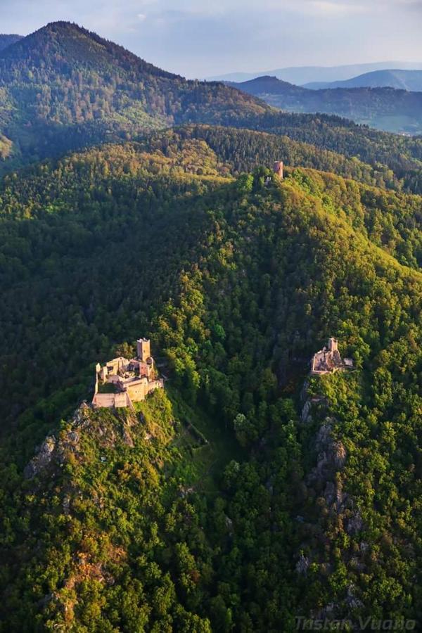 Gite See You Soon - Maisonnette Green Lodge Рибовиль Экстерьер фото